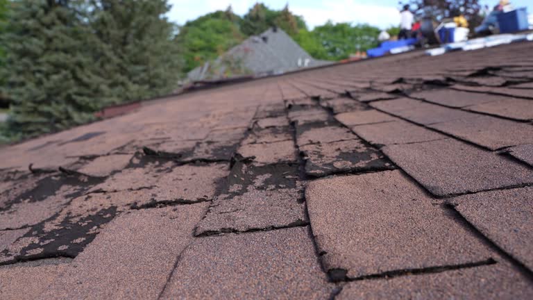 Best Roof Maintenance and Cleaning  in Elizabethville, PA
