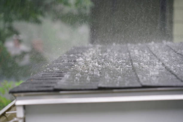 Best Roof Maintenance and Cleaning  in Elizabethville, PA
