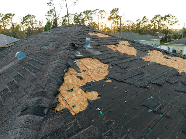 Best Asphalt Shingles Roofing  in Elizabethville, PA