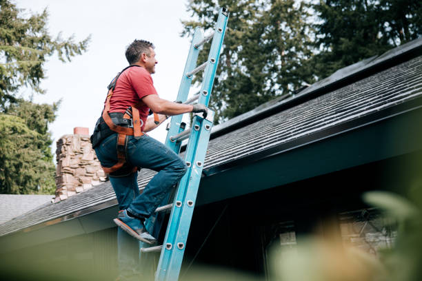 Best Chimney Flashing Repair  in Elizabethville, PA